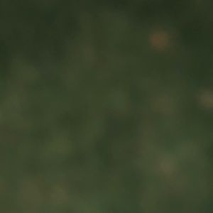 Meet your Posher, Violet